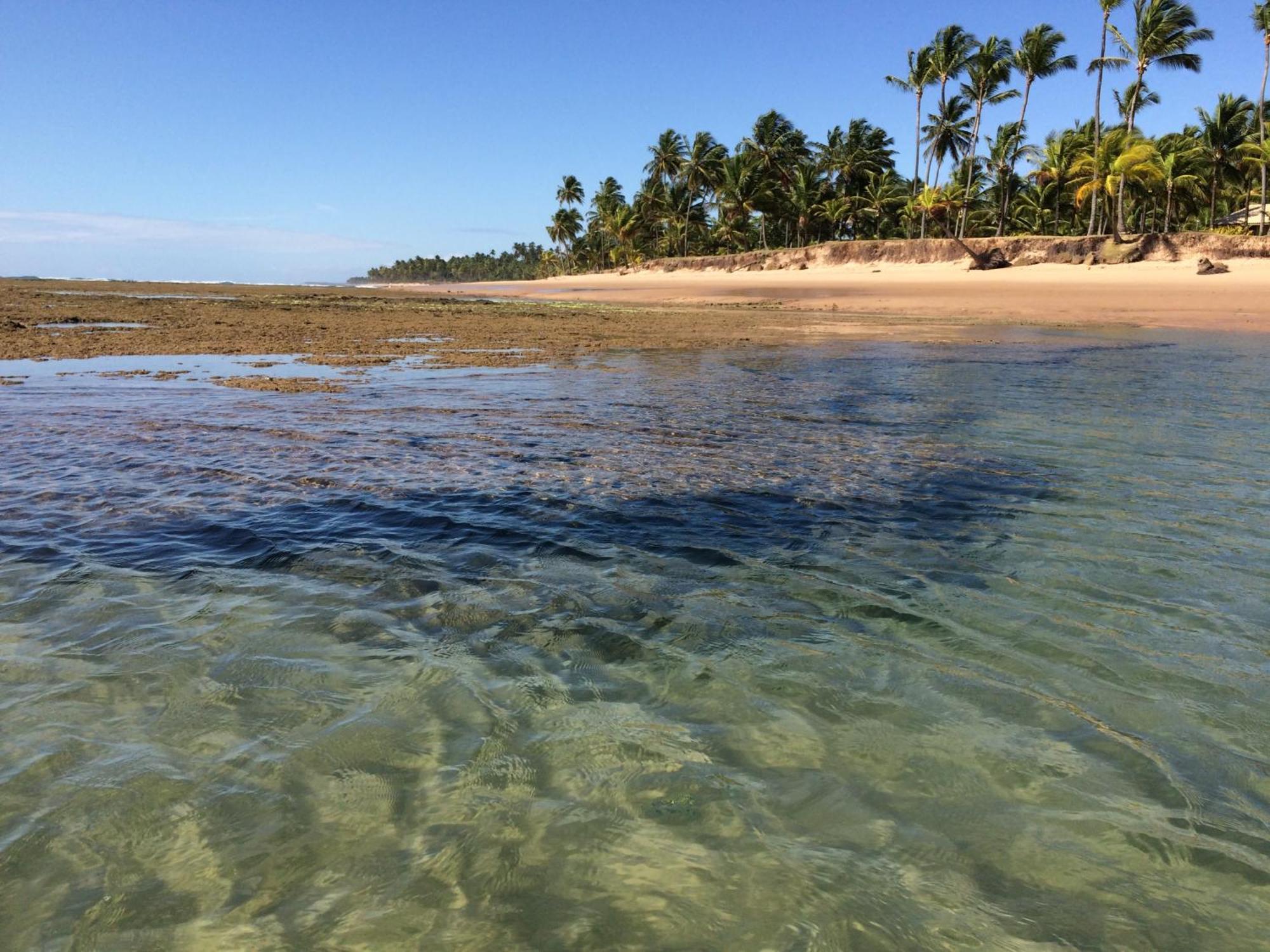 Pousada Velas E Vento - Barra Grande, Taipu De Fora, Marau Barra Grande  Exteriör bild
