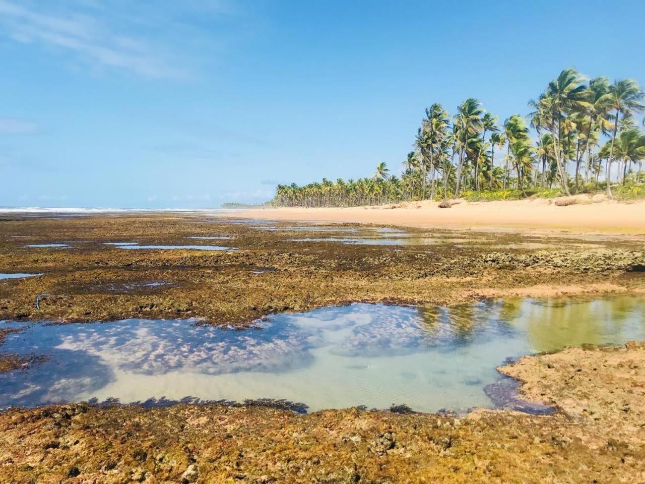 Pousada Velas E Vento - Barra Grande, Taipu De Fora, Marau Barra Grande  Exteriör bild